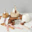 Euro Holiday Spoon Set - Beechwood