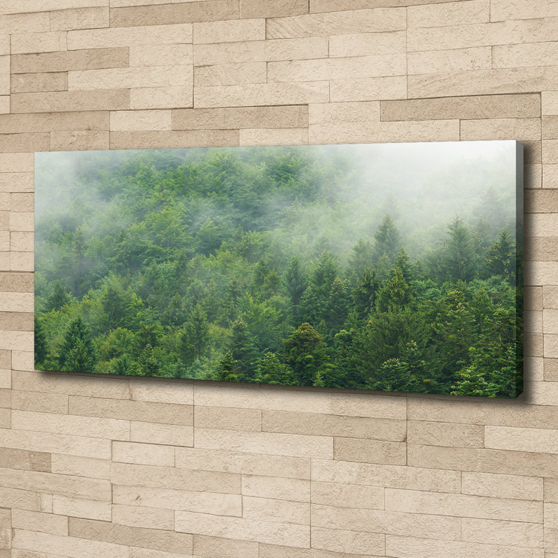 Mysterious Forest - Wrapped Canvas Print, 50cm H x 125cm W, Canvas