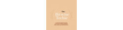 Logo Bitwise Techie