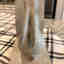 Customer photo 3 of 6
