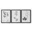 «Botanical Imprint I», ensemble de 3 peintures sur toile encadrées-1130262994-1130262995