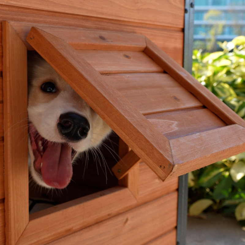 Niche pour chien, H 29,54 po x l 26,37 po x P 43,30 po
