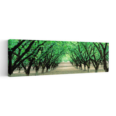 Hazel Nut Orchard, Dayton, Oregon, Usa Abstract Contemporary Landscape Nature Wall Art
