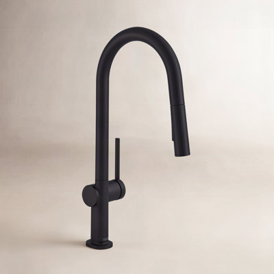 Hansgrohe Talis N A-Style Pull-Down Faucet