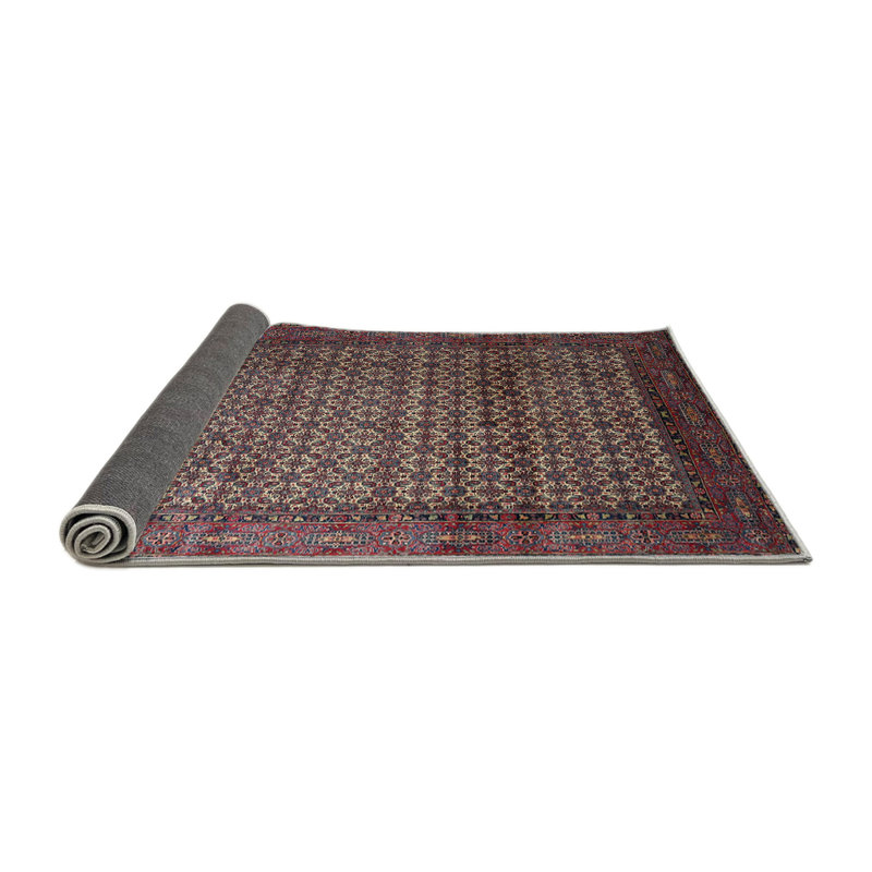 Zichichi Oriental Indoor Rug, Round 4'