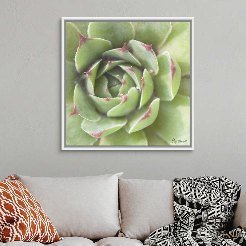 «Garden Succulents II», art mural sur toile, Toile avec cadre blanc, H 36 po x l 36 po x P 1,25 po