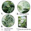 Minimalisme, jungle tropicale, tranquillité, palmiers sur toile-97026744-97026753
