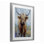 «Highland Cow with Daubed Flowers», reproduction encadrée sous verre, design par Lindsay Kivi Fine Art