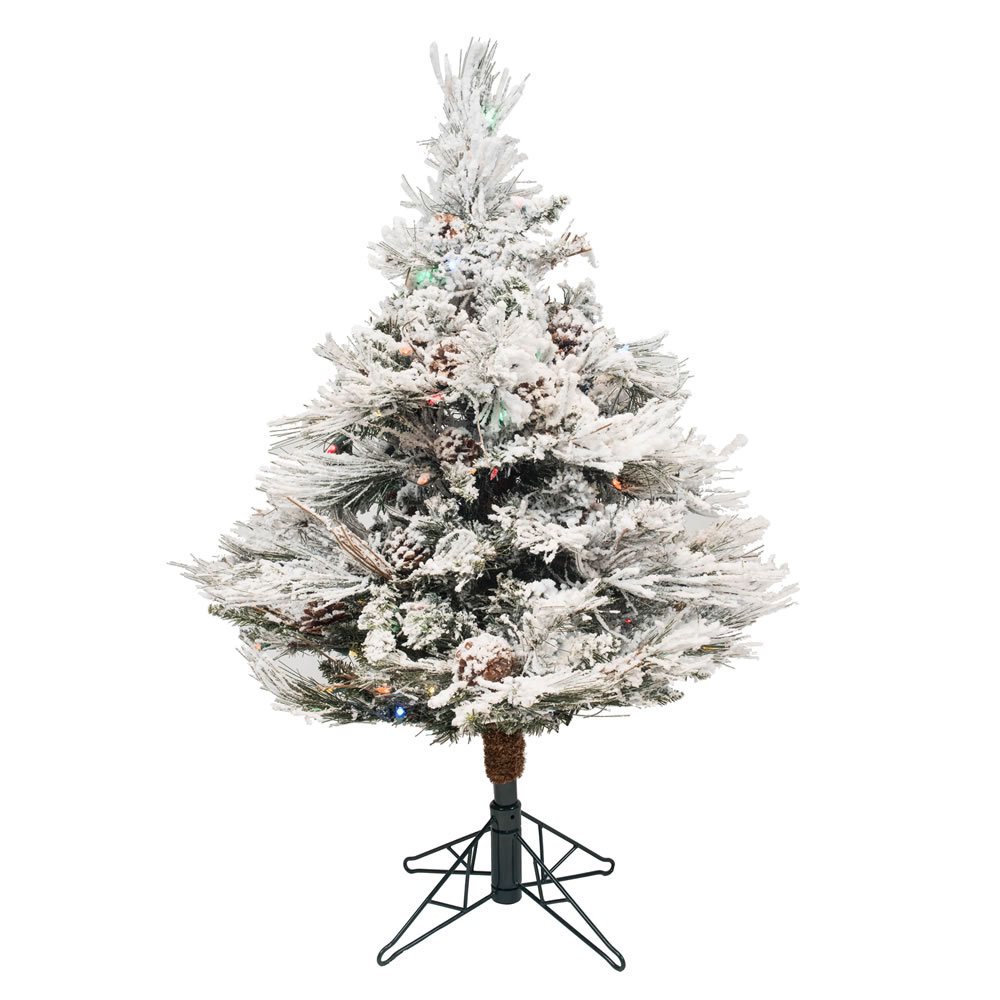 Flocked Alberta 3.5' Lighted Pine Christmas Tree The Holiday Aisle®