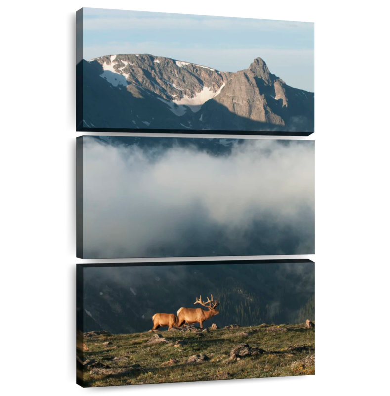 Alvord Rocky Mountain National Park Elks, 32" H x 20" W