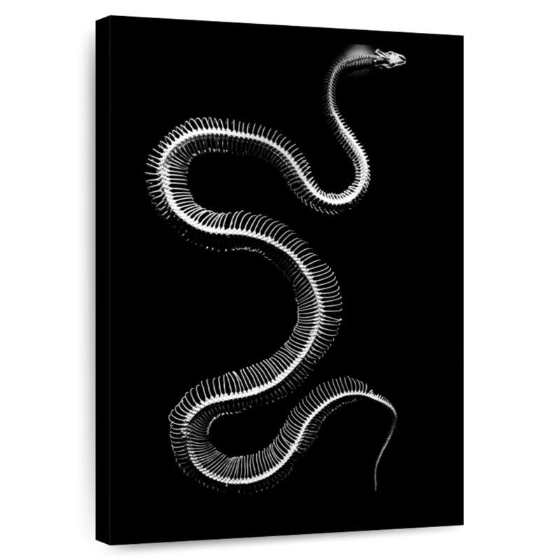 Brampt Snake Bones, 24" H x 16" W