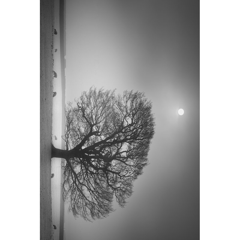 Evening Light II by Martin Henson - Wrapped Canvas Print, 30cm H x 46cm W x 3.8cm D