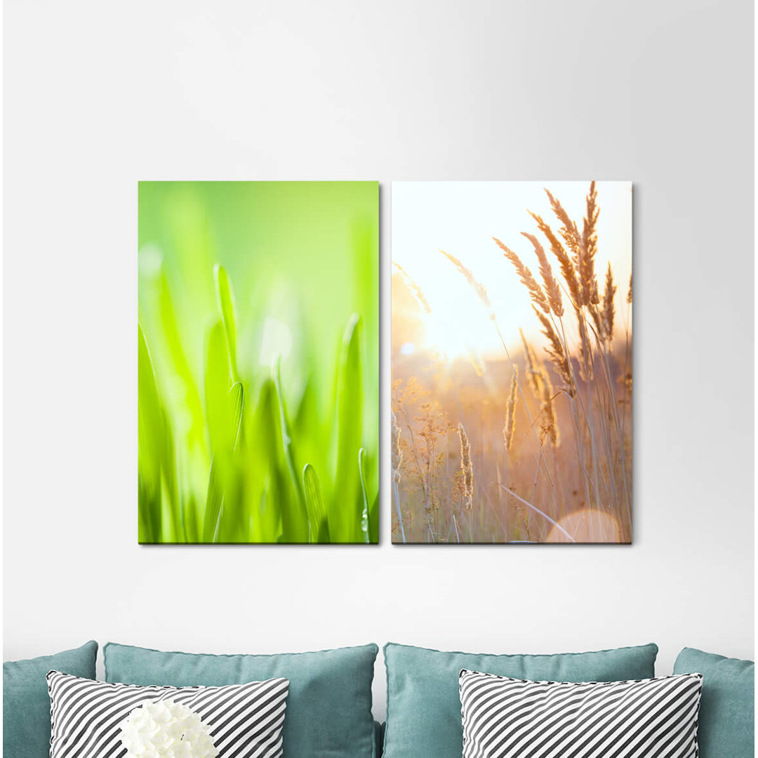 2-tlg. Leinwandbilder-Set Grass Blades of Grass Wheat Field Sun Summer Green Cornfield