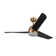 Thalia 54'' Ceiling Fan with LED Lights