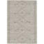 Alaniz Hand Woven Grey Indoor Rug-2003123783