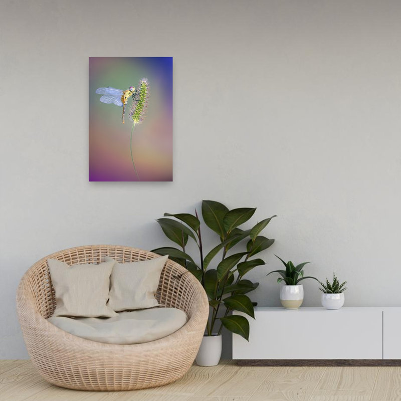 Colorful Dragonfly Perched Colorful Delicate Peaceful Dragonfly Nature Plant Wall Art Print by Fabrizio Daminelli - Print