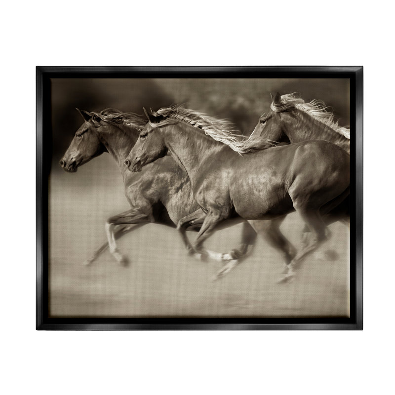 Troupeau de chevaux au galop au trot par Lisa Dearing - photographie, H 25 po x l 31 po x P 1,5 po, Cadre noir