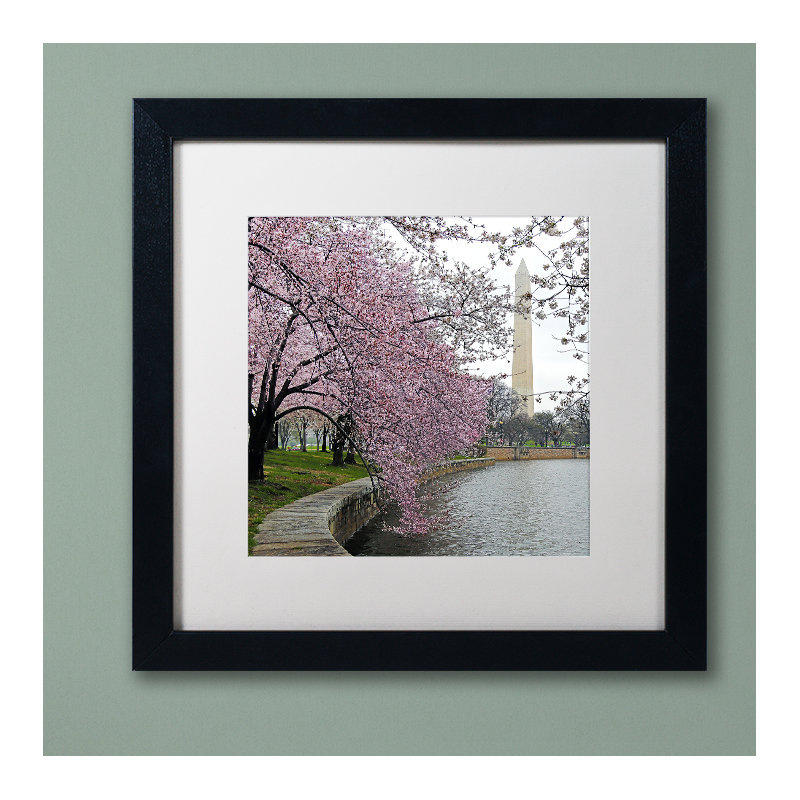 Washington Blossoms Framed Photographic Print, White, 16" H x 16" W x 0.5" D