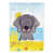 Weimaraner sélectionné