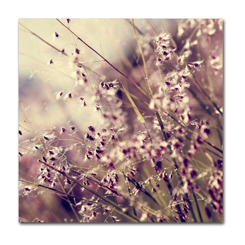 « field of soleil », reproduction de photo sur toile tendue, H 18 po x l 18 po x P 2 po
