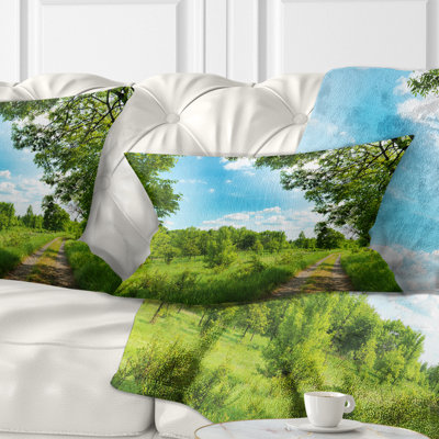 Coussin Forest Road and Sky