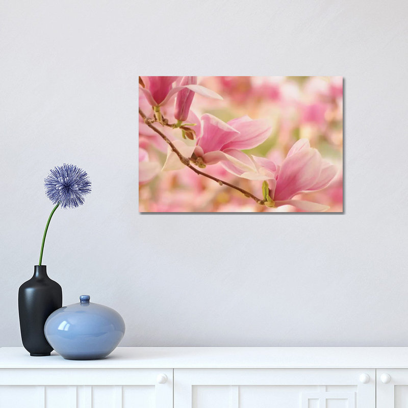 Pink 1 Piece Wrapped Canvas Wall Art, 30.48cm H x 45.72cm W x 1.91cm D