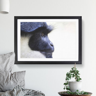 Colobus Monkey - Picture Frame Graphic Art