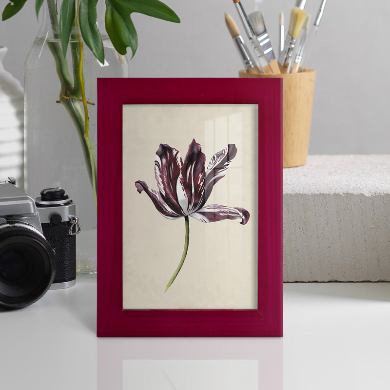 Étude de tulipes antiques IV - reproduction de cadre photo unique, Rouge, H 6 po x l 4 po x P 1 po