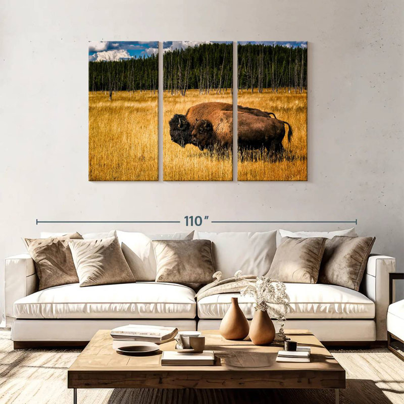 Brampt Bison In Summer, 48" H x 74" W