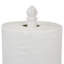 Iron Freestanding Paper Towel Holder
