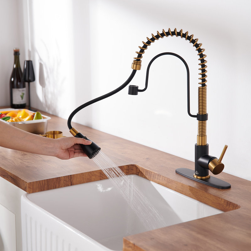 Bolden CASAINC 1.8 GPM Spring Neck Pull Down Kitchen Faucet with Deck Plate, Matte Black/Brushed Gold
