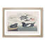 Black Guillemot Bird by John James Audubon - Picture Frame Art Print-55512347-55512346