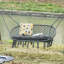 Whalan 2-Seater Hanging Hammock Chair Soft Cushion Dark Grey