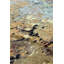 Oliver One-of-a-Kind 4'1" X 6'1" Area Rug