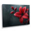 Décoration de gouttes de pluie rouge et noir poinsettia II - Plantes-1472991155-1503546029