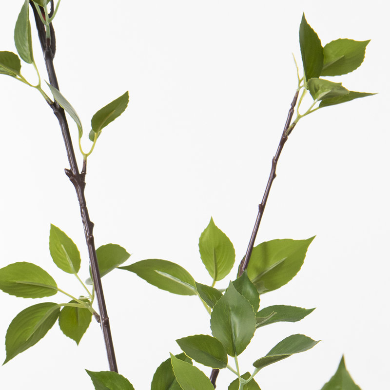 60'' Faux Cornus Tree in Cement Pot