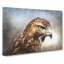 Hawk - Wrapped Canvas Painting-56630425