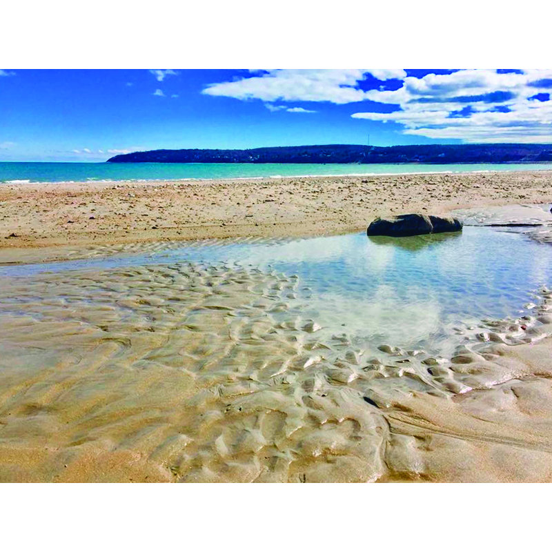 Barren Sandbar - photographie, H 18 po x l 24 po x 1,5 po, Toile tendue, Pas de tapis