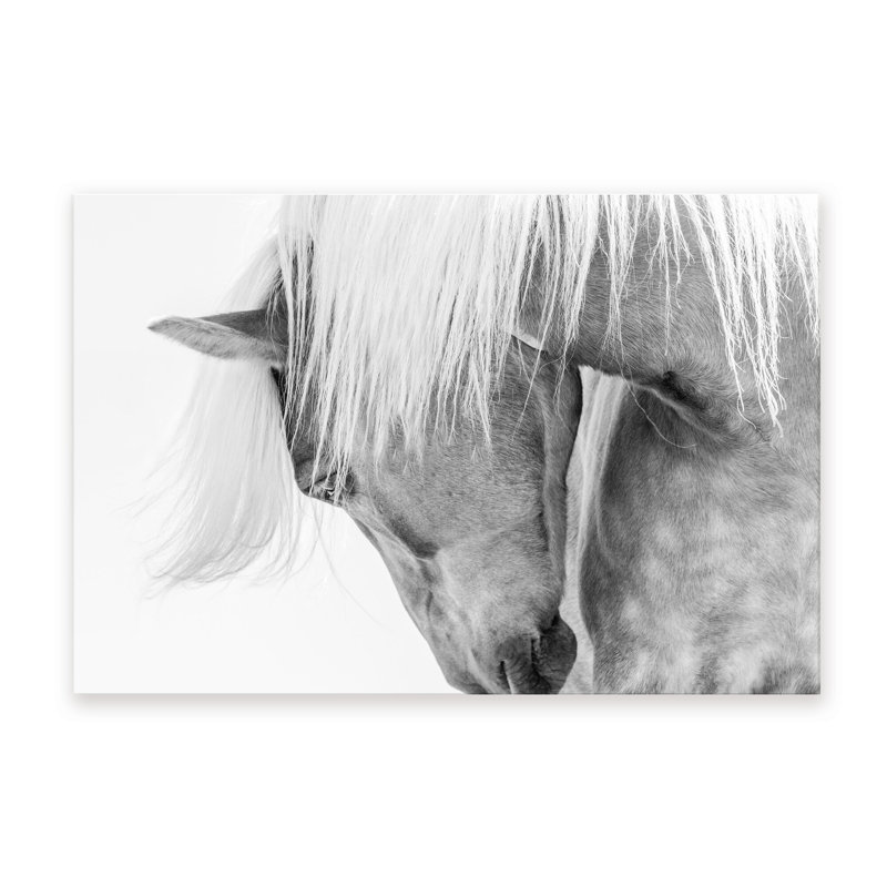 Nature Inspired Halflinger Portrait by  - Picture Frame Photograph on Paper, Wrapped Canvas, Does Not Apply