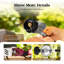 Ensemble de four à pizza au propane extérieur: conception portable avec pierre de 13 po, pelure et coupe - 13600 BTU