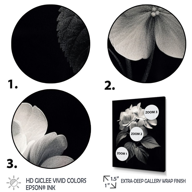 Hortensia noir et blanc III - impression, Toile tendue, H 20 po x l 12 po x P 1 po