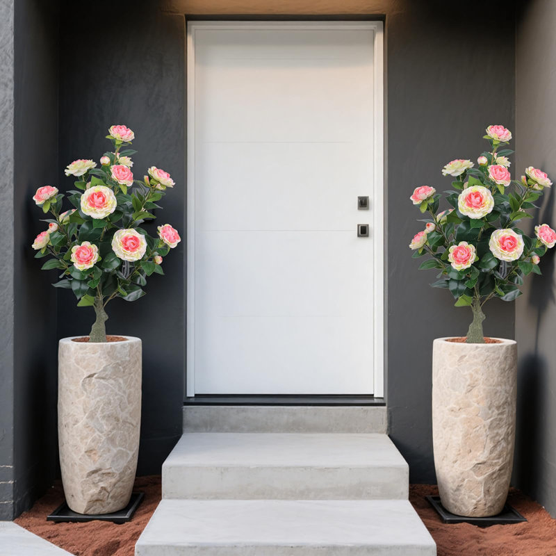 Arrangement