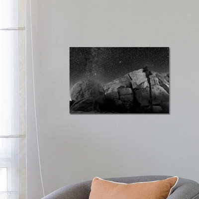 Joshua Tree Sea Of Stars, 2017 by SVP Images - Wrapped Canvas Print