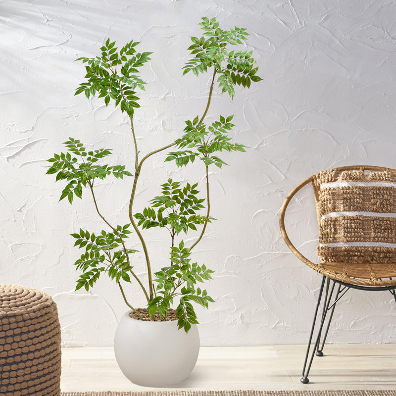 180cm Plant