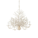 Seaward 12 - Light Chandelier