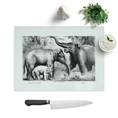 Tempered Glass Asian Elephants Chopping Board
