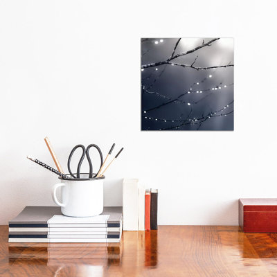 Dark Blue Forest Square 1 Piece Wrapped Canvas Wall Art