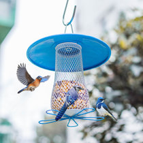 Mangeoires d'oiseaux: Couleur - Bleu - Wayfair Canada
