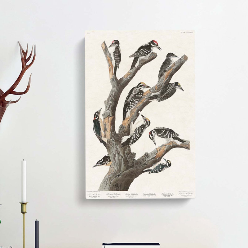 Woodpeckers by John Audubon - Wrapped Canvas, 50cm H x 35cm W x 3cm D