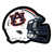 Auburn University